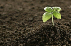 土壤墑情監(jiān)測系統(tǒng)的建設有何意義？