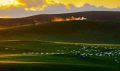 夏季高溫，氣象站全力應(yīng)對(duì)森林草原防火形勢(shì)