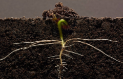 土壤水分測(cè)定站要如何維護(hù)？