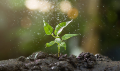 開(kāi)展土壤墑情監(jiān)測(cè)，促進(jìn)農(nóng)業(yè)結(jié)構(gòu)調(diào)整